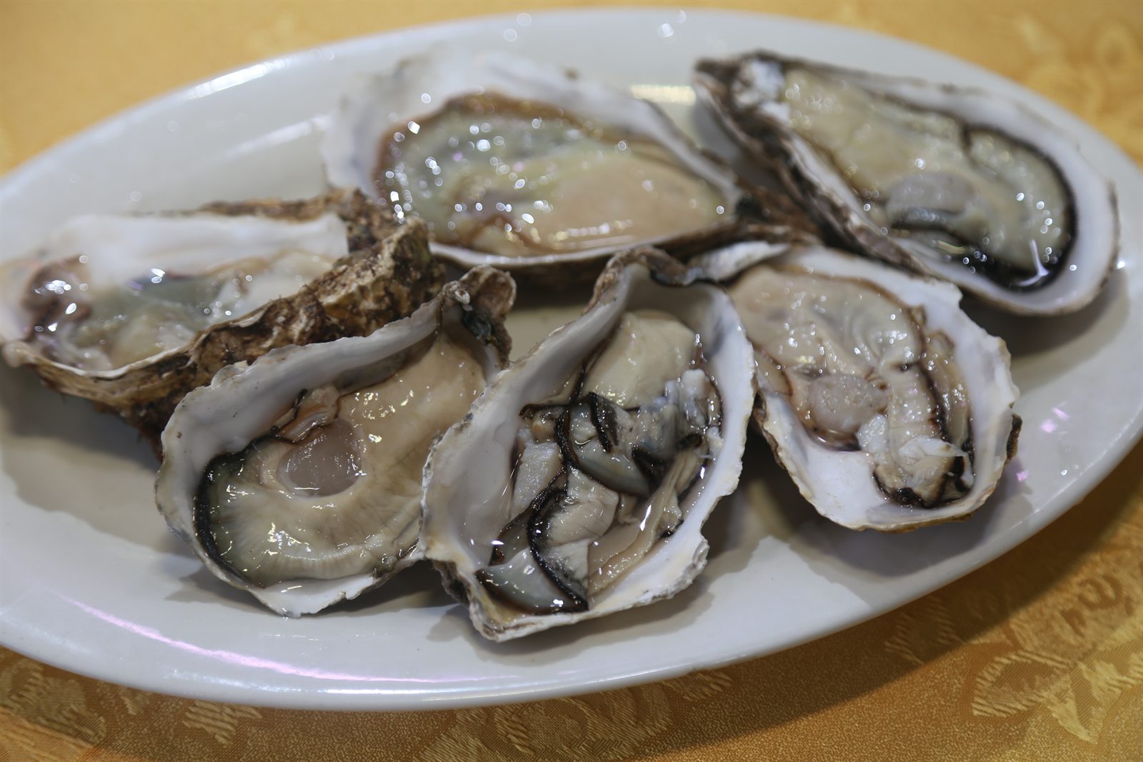 门店生蚝食材